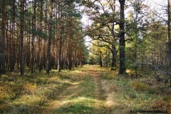 Kuznia-w-siodelku-Trasa-rowerowa-wzdluz-jeziorek-20