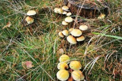 Kuznia-w-siodelku-Trasa-rowerowa-wzdluz-jeziorek-22