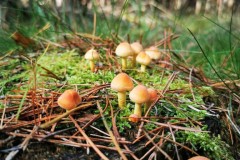 Kuznia-w-siodelku-Trasa-rowerowa-wzdluz-jeziorek-23
