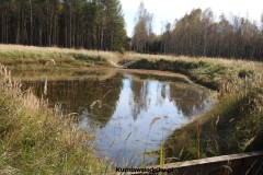 Kuznia-w-siodelku-Trasa-rowerowa-wzdluz-jeziorek-29
