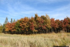 Kuznia-w-siodelku-Trasa-rowerowa-wzdluz-jeziorek-3