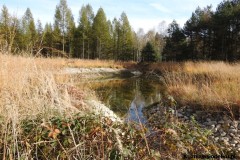 Kuznia-w-siodelku-Trasa-rowerowa-wzdluz-jeziorek-4