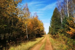 Kuznia-w-siodelku-Trasa-rowerowa-wzdluz-jeziorek-9