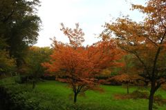 Kuznia-W-Siodelku-Zaczarowany-ogrod-21