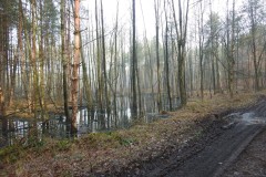 Kuznia-w-siodelku-Zeremie-Bobrow-2