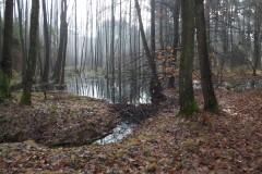 Kuznia-w-siodelku-Zeremie-Bobrow-3