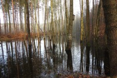 Kuznia-w-siodelku-Zeremie-Bobrow-7