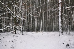 Kuznia-w-siodelku-Zimowy-spacer-2
