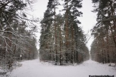 Kuznia-w-siodelku-Zimowy-spacer-4
