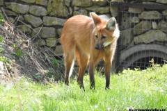 Kuznia-w-Siodelku-Zwiedzanie-ZOO-w-Opolu-1