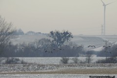 Kuznia-w-siodelku-Zurawie-3