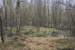 Kuznia-w-siodelku-Nowa-miejscowka-2