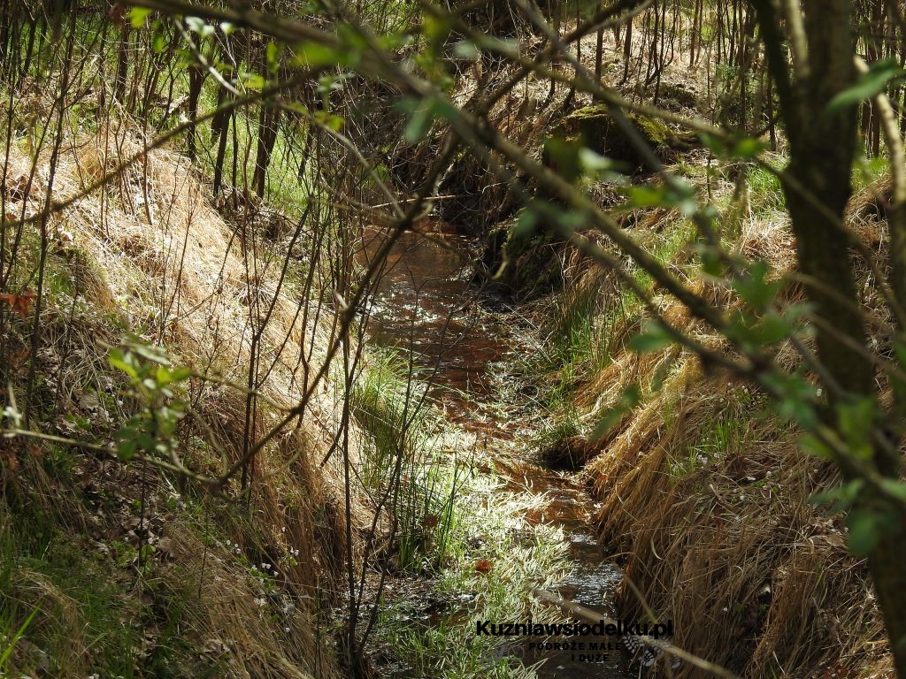 Staw Sangów Staw Sangów