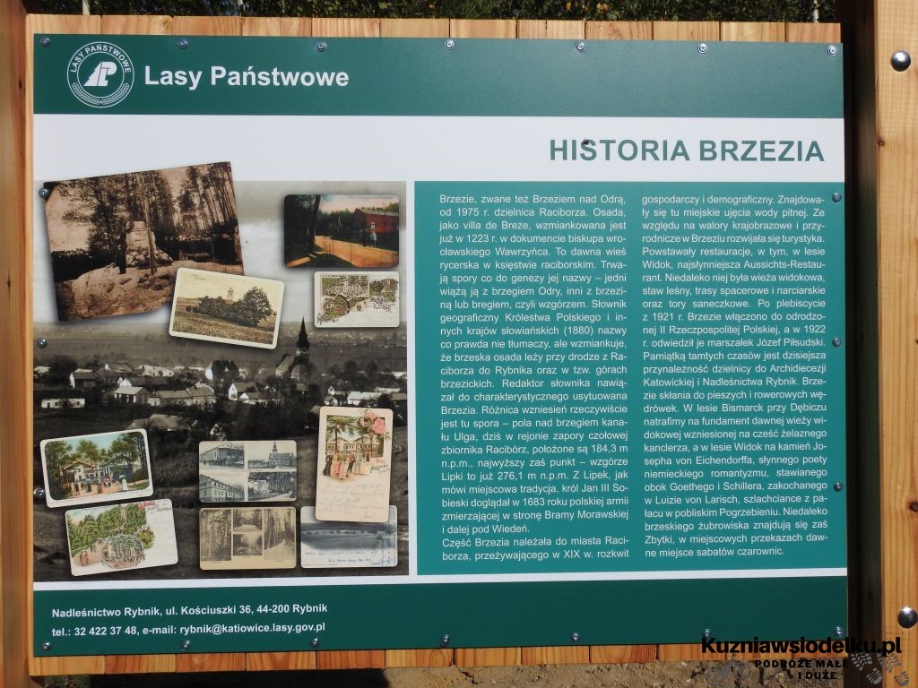 zagroda żubrów zagroda żubrów