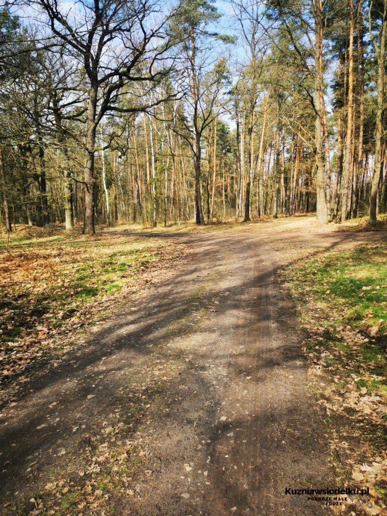 Kuźnia - Nędza - Turze - Kuźnia