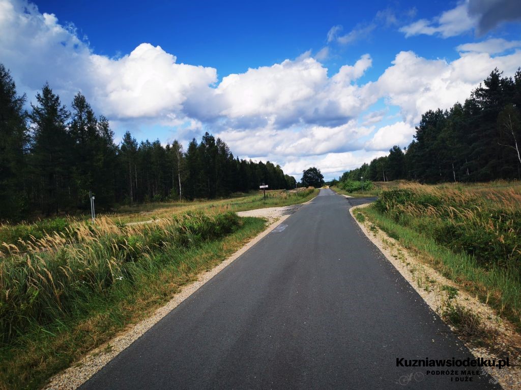 Leśna autostrada Leśna autostrada