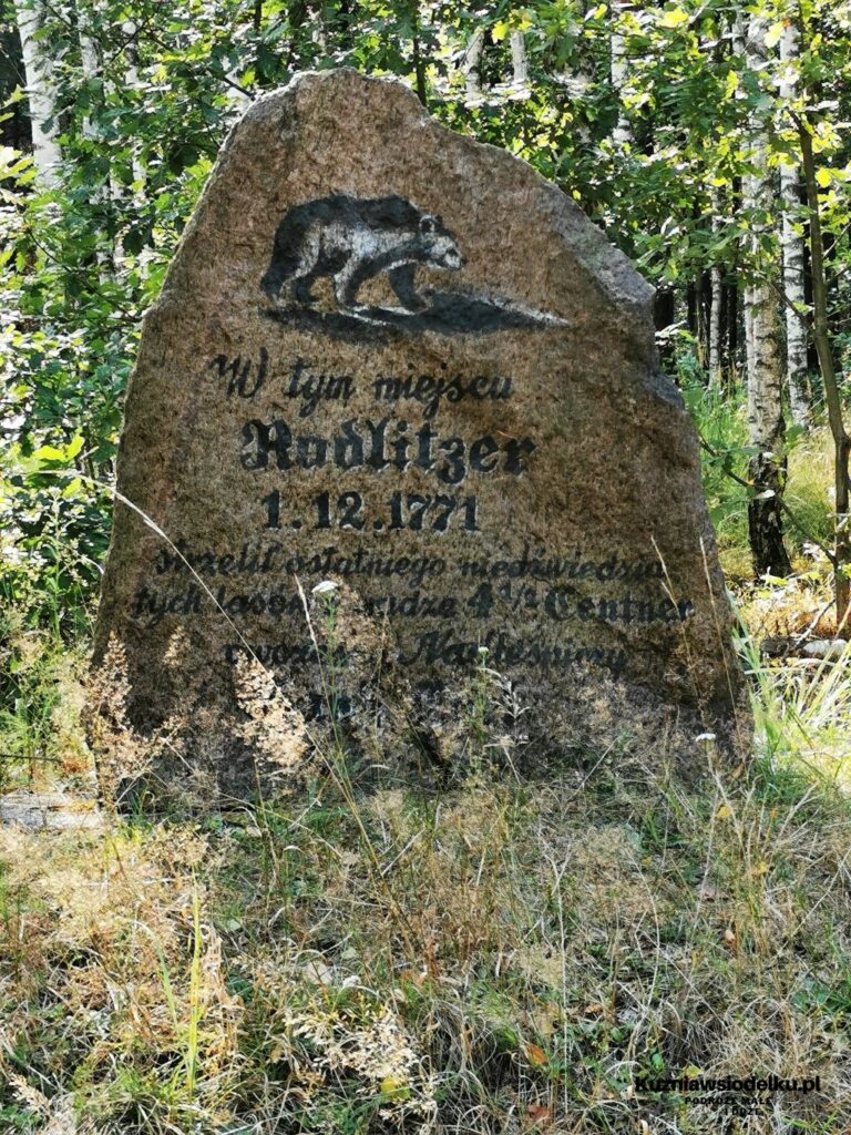 Ostatni niedźwiedź Ostatni niedźwiedź
