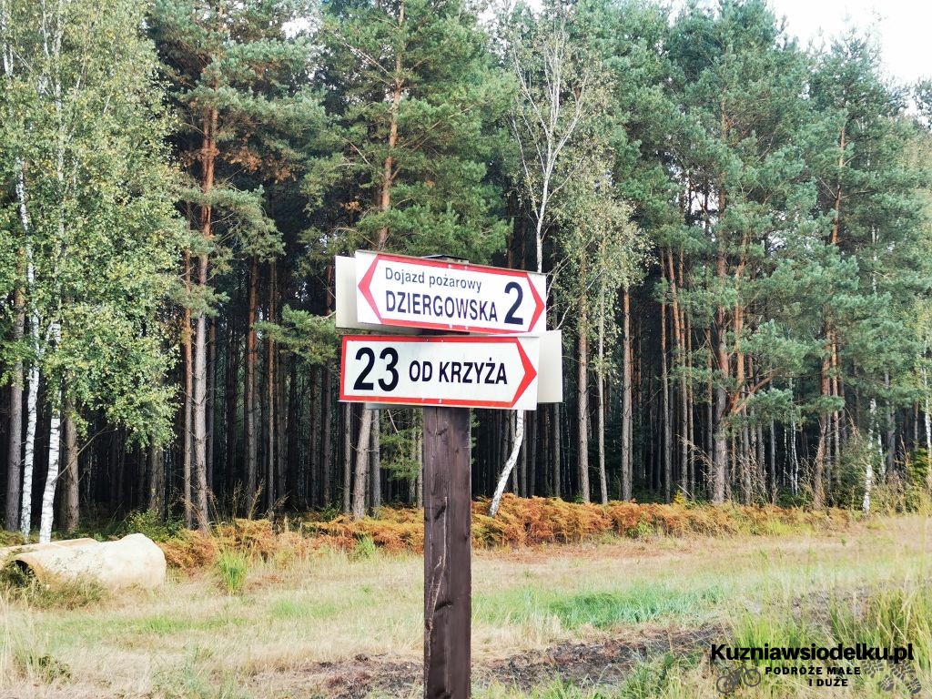 Pętla po lesie Pętla po lesie
