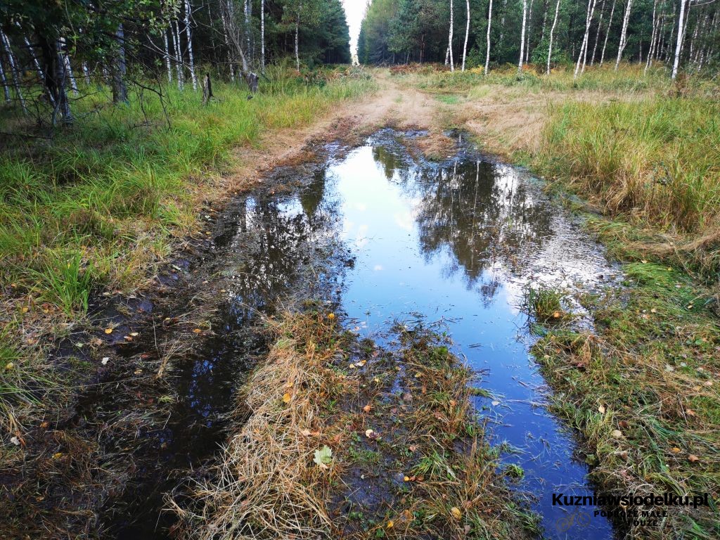 Niespodzianka Niespodzianka