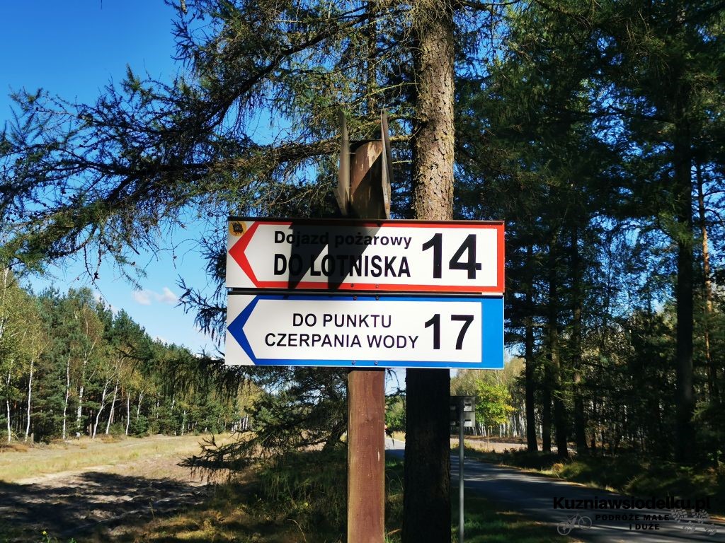 Pętla po lesie Pętla po lesie