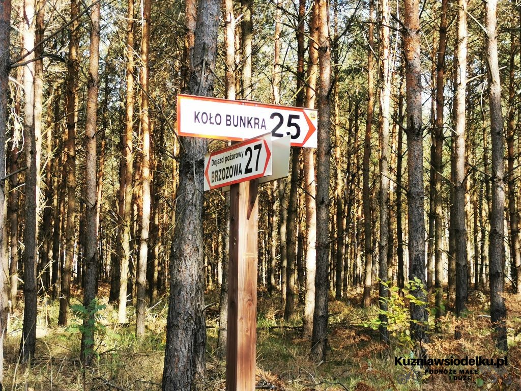 Kierunkowskaz Kierunkowskaz