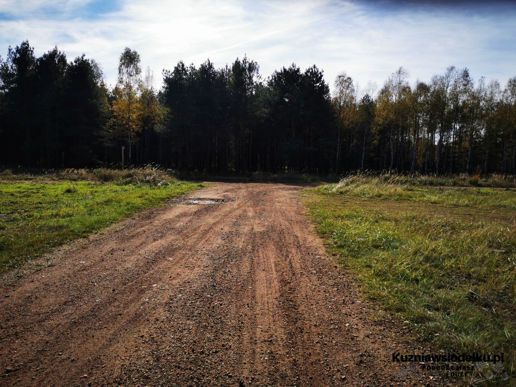 Widoki z trasy Widoki z trasy