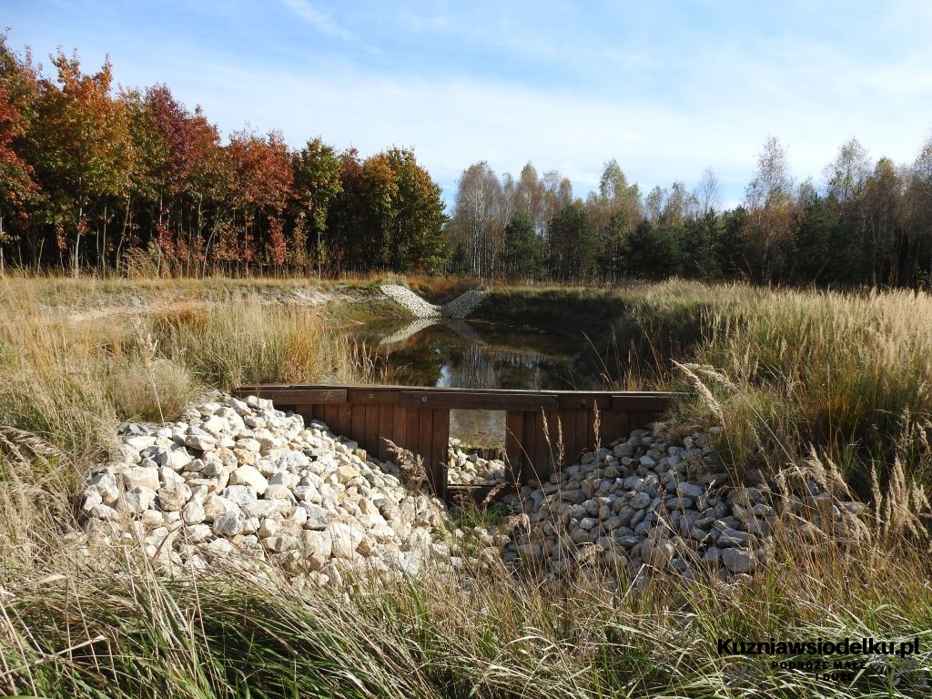 jeziorka jeziorka