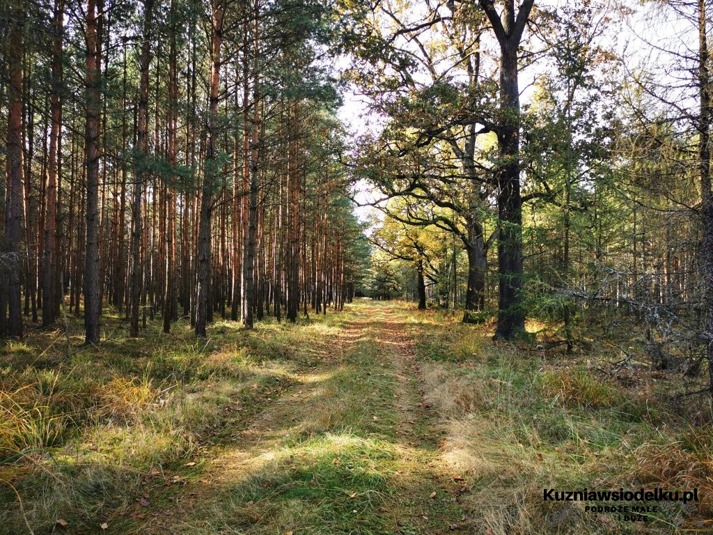 Widoki z trasy Widoki z trasy
