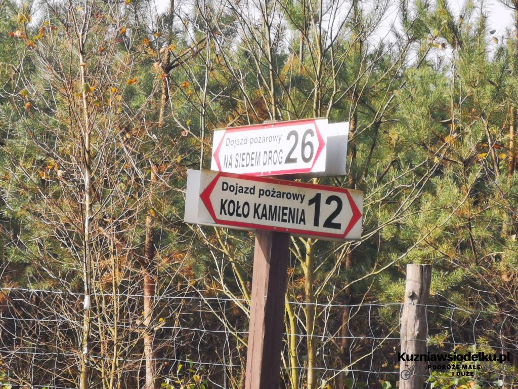 Kierunkowskaz Kierunkowskaz