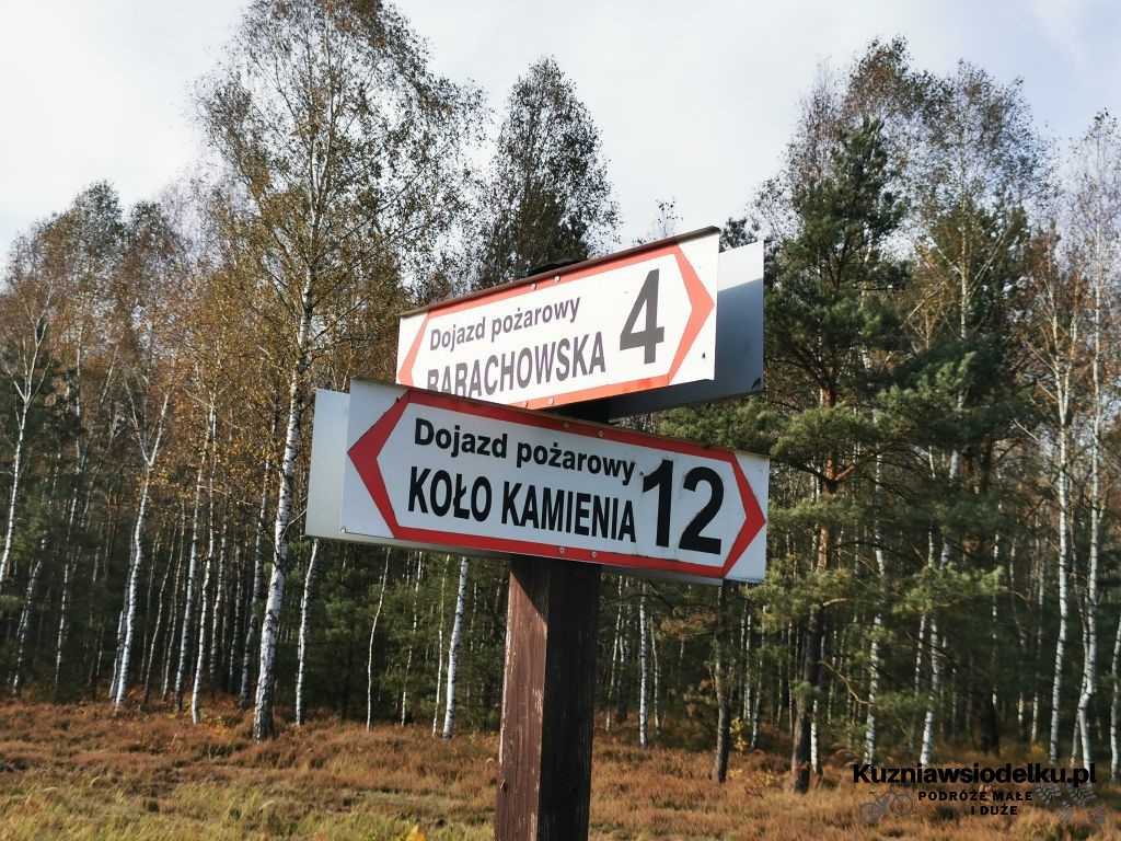 Kierunkowskaz Kierunkowskaz