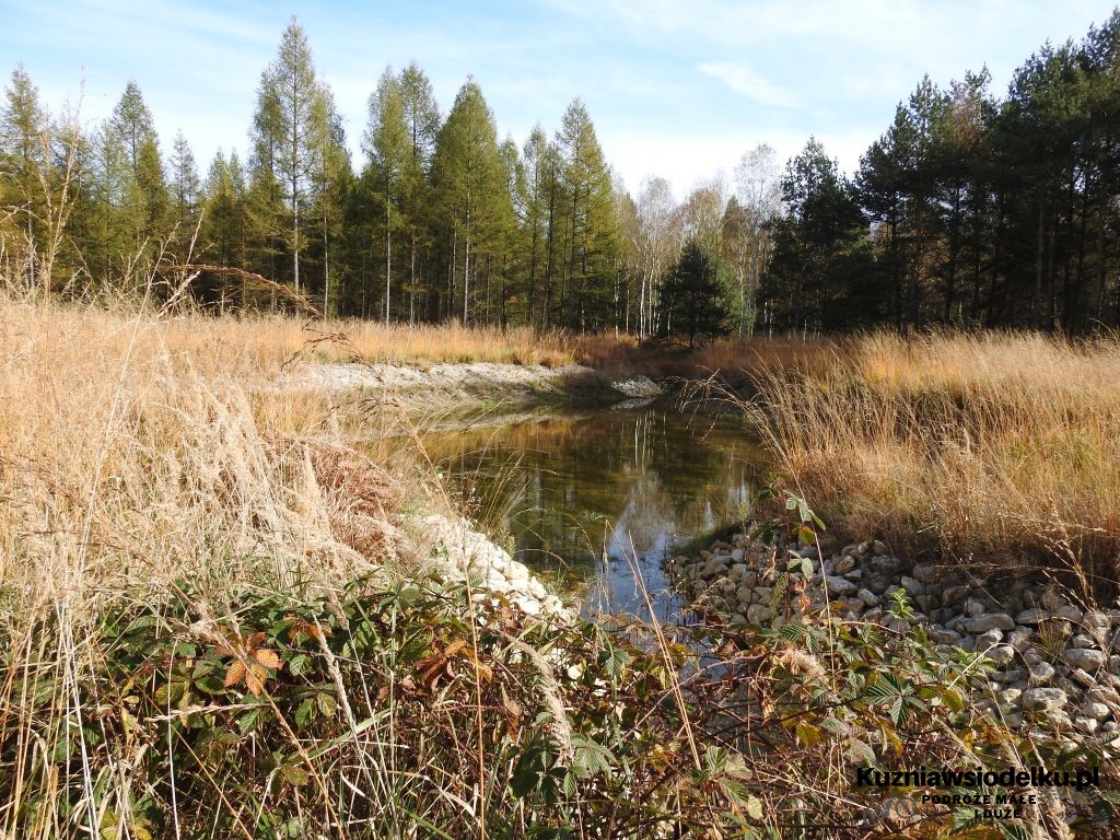 jeziorka jeziorka
