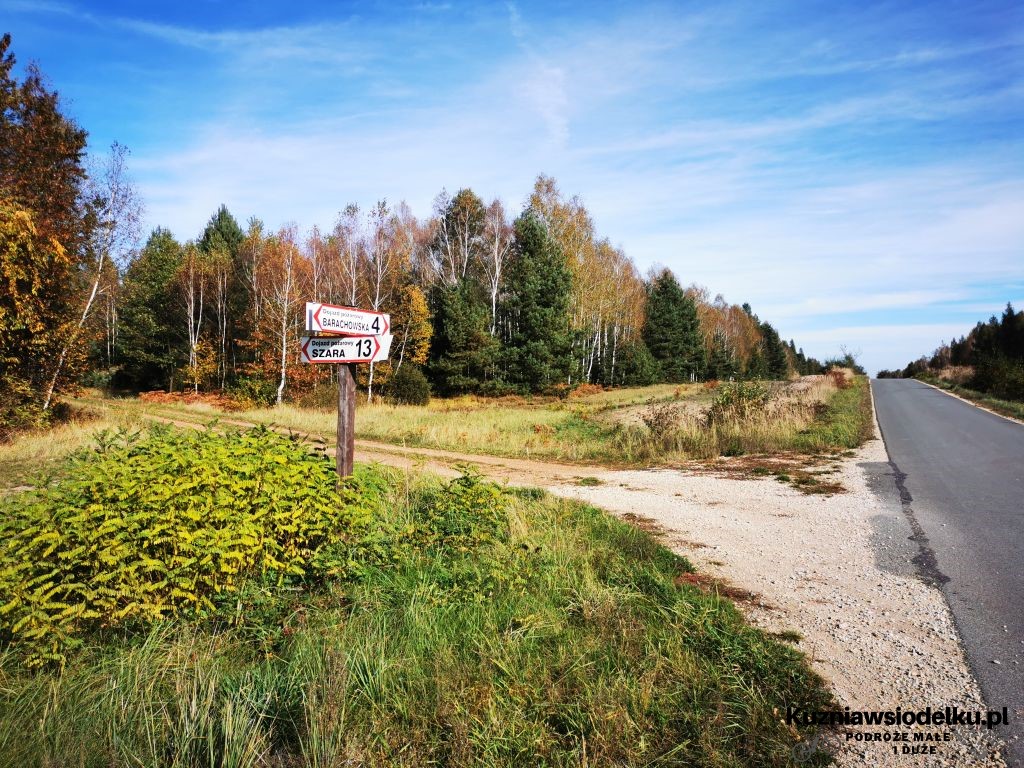 jeziorka jeziorka