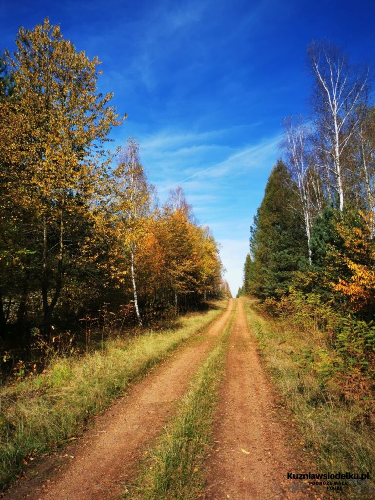 jeziorka jeziorka