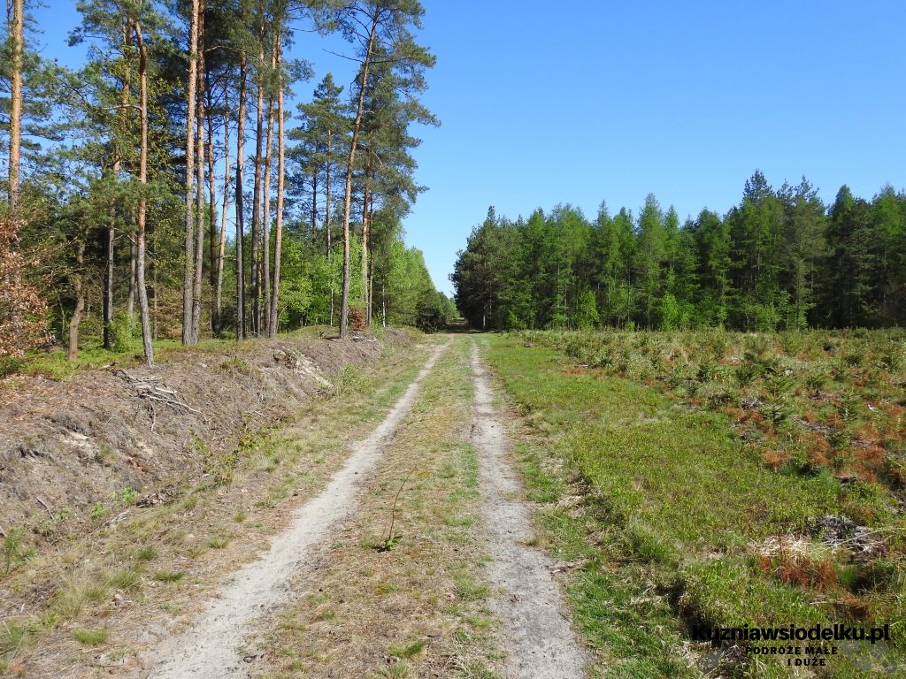na lotnisko na lotnisko