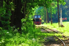 Kuznia w siodelku - wąskotorówka - 2