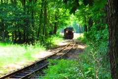 Kuznia w siodelku - wąskotorówka - 3