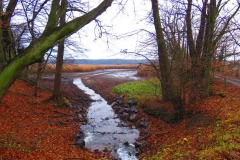 Kuznia w Siodelku - Grudzien 1