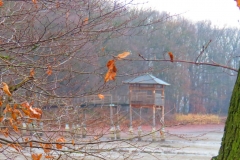 Kuznia w Siodelku - Grudzien 10