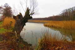 Kuznia w Siodelku - Grudzien 3