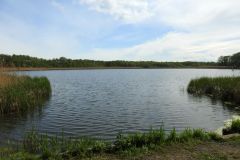 Kuznia-w-Siodelku-Rezerwat-Lezczok-Kwiecien-9