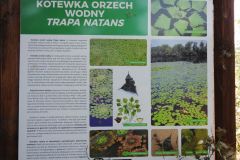Kuznia-w-Siodelku-Rezerwat-Nowa-Kuznia-11