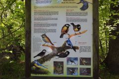 Kuznia-w-Siodelku-Rudzki-Park-14