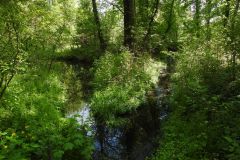 Kuznia-w-Siodelku-Rudzki-Park-2