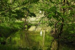 Kuznia-w-Siodelku-Rudzki-Park-5
