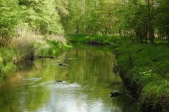 Kuznia-w-Siodelku-Rudzki-Park-6