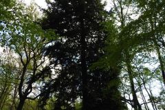Kuznia-w-Siodelku-Rudzki-Park-9