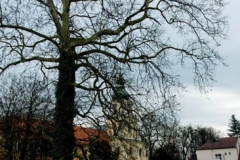 Kuznia-w-Siodelku-Rudzki-Park-1