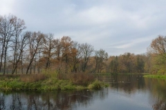 Kuznia-w-Siodelku-Rudzki-Park-10