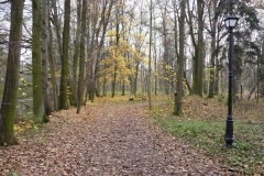 Kuznia-w-Siodelku-Rudzki-Park-6