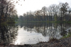 Kuznia-w-Siodelku-Rudzki-Park-7